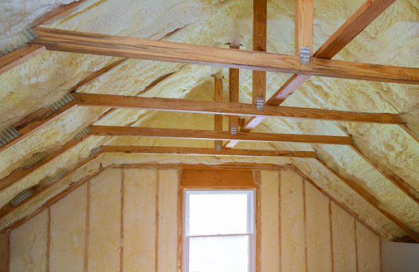 Best Insulation Repair Services  in Meridian Village, CO