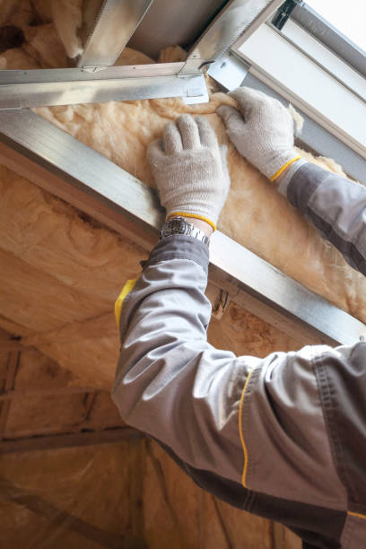 Best Professional Insulation Contractor  in Meridian Village, CO