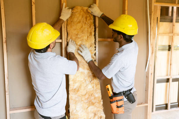 Best Crawl Space Insulation  in Meridian Village, CO