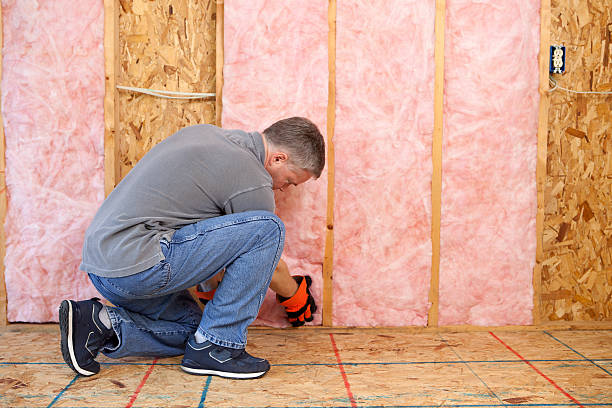 Best Garage Insulation Installation  in Meridian Village, CO